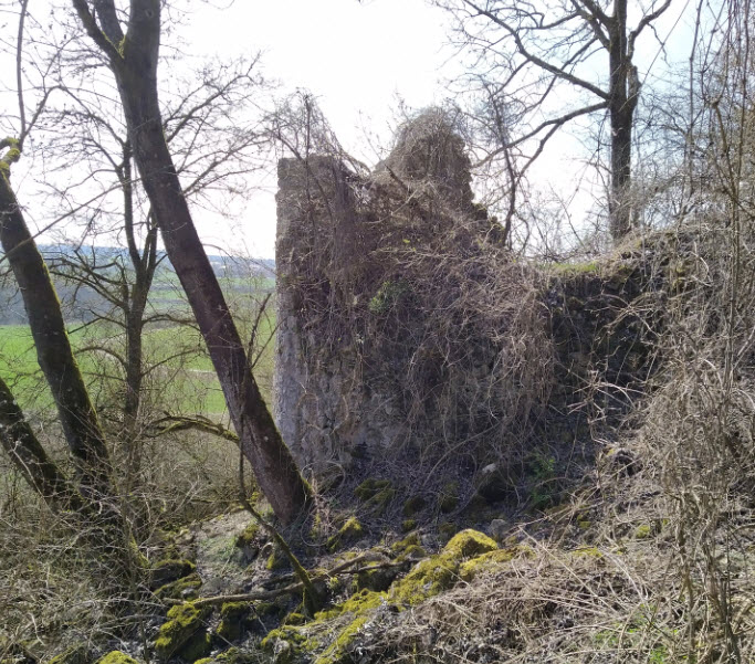 Ruine Hohenburg bei Thalheim, Germany